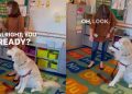 Therapy Dog Loves ‘Waving Bye-Bye’ to His Reading Buddies