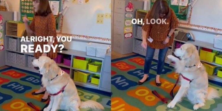 Therapy Dog Loves ‘Waving Bye-Bye’ to His Reading Buddies