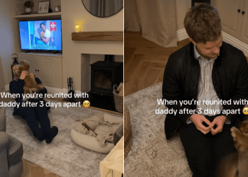 Dog & Her Dad’s Reunion After 3 Days Apart Is Heartwarming