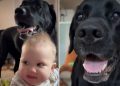 Video: Baby Makes This Noise After Learning From Dog