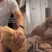 Video Explains Golden Retriever’s Attachment to Baby’s Hospital Blanket