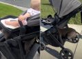 Video: Staffy Knows How to Perfectly Land on Baby’s Stroller