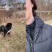 Video: Dog Pulls an Unexpected Move Seconds After Owner Drops the Leash