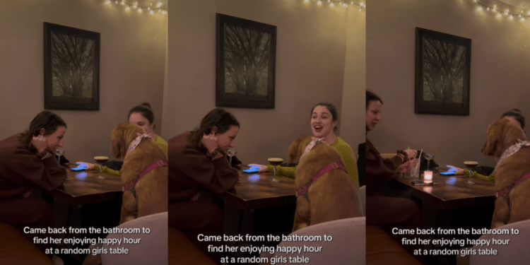 Golden Retriever Enjoys Her Happy Hour at a ‘Random Girls Table’
