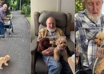 Dog Always Runs to the Man Who Wanted Company When She Met Him as a Pup