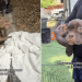 ‘Precious’ Dogs Just Want To Be Held After Arriving at Foster Mom’s Home