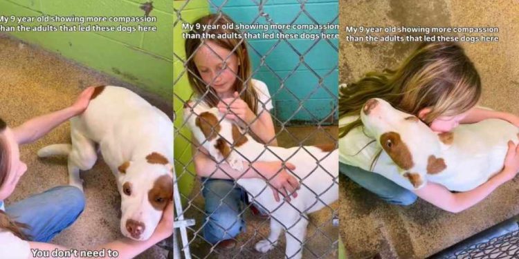Shelter Dog Is Comforted by a Kind Little Girl With Snuggles & Kisses