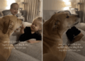 Dog Talks Back as Toddlers Tease Her — Mom Is Clearly Getting Blamed for the Whole Thing